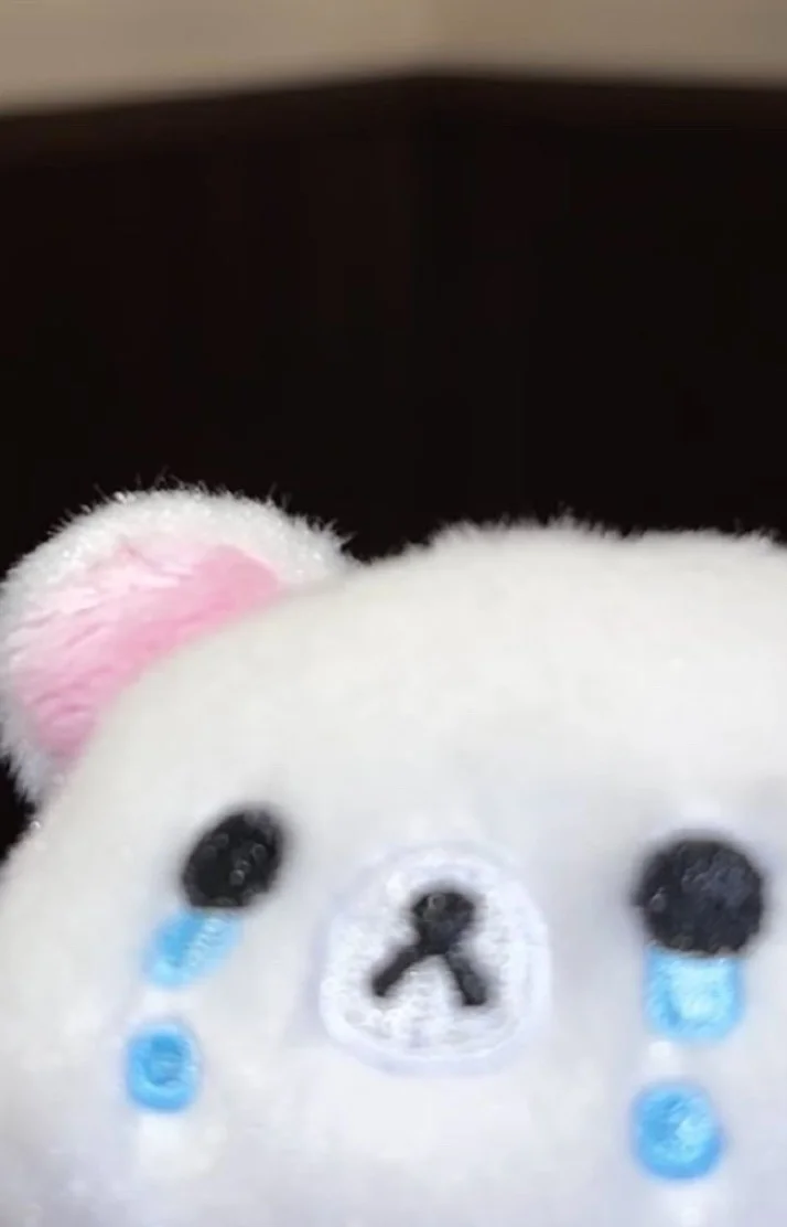 今日もありがとう ‪‪❤︎‬*. ﾟ