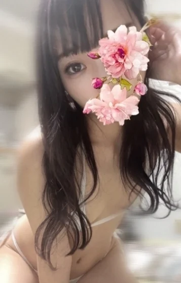 ノア