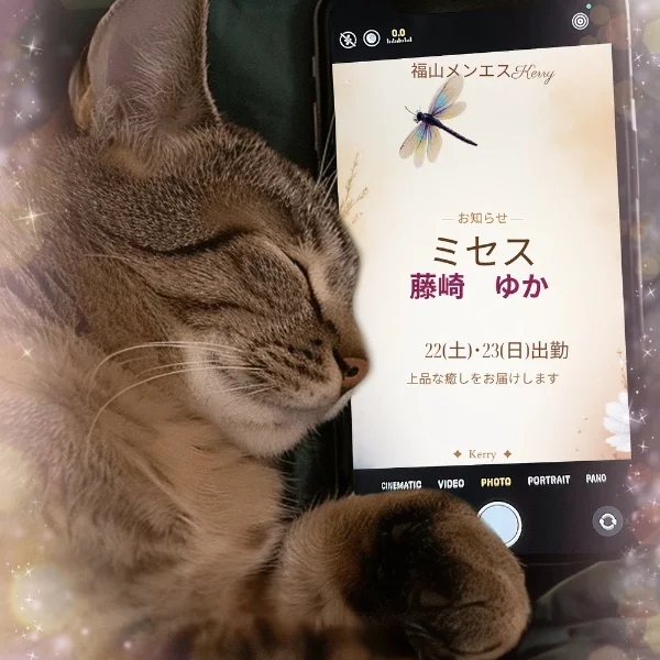 週末のご予定は…(๑• . •๑)？