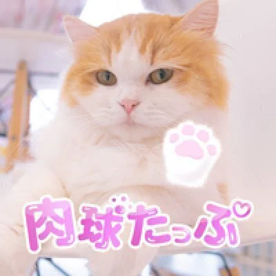 今週の予定に「ねこメイド♡バイト」入れてみませんかのサムネイル