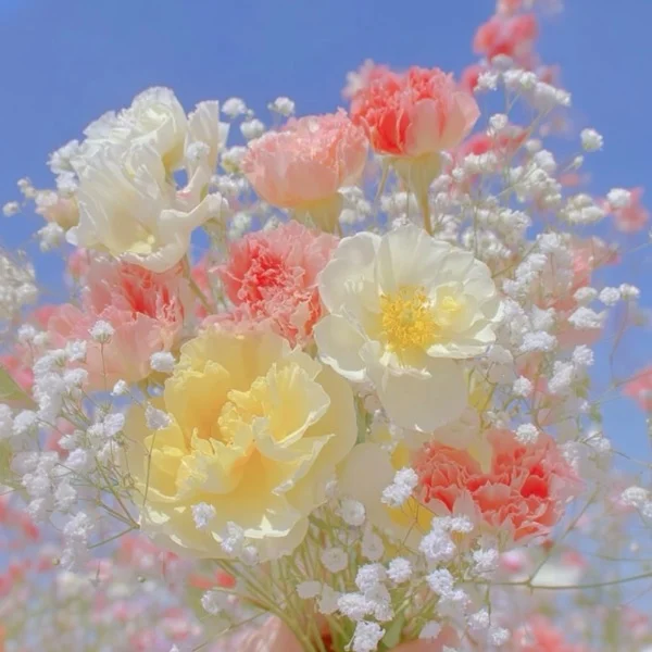 今日からここでも、まりらしく♡