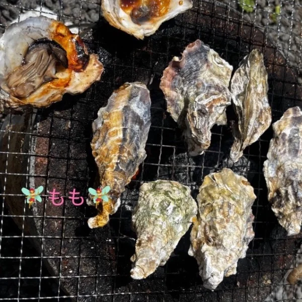 🧚‍♀️もも🧚‍♀️