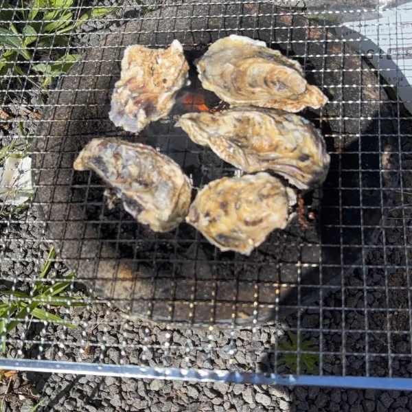 なつー！