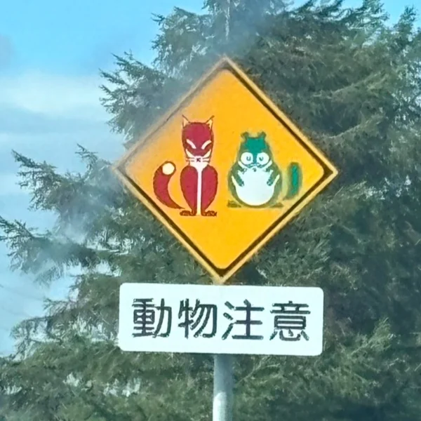 🧚‍♀️今週の予定よーん🧚‍♀️