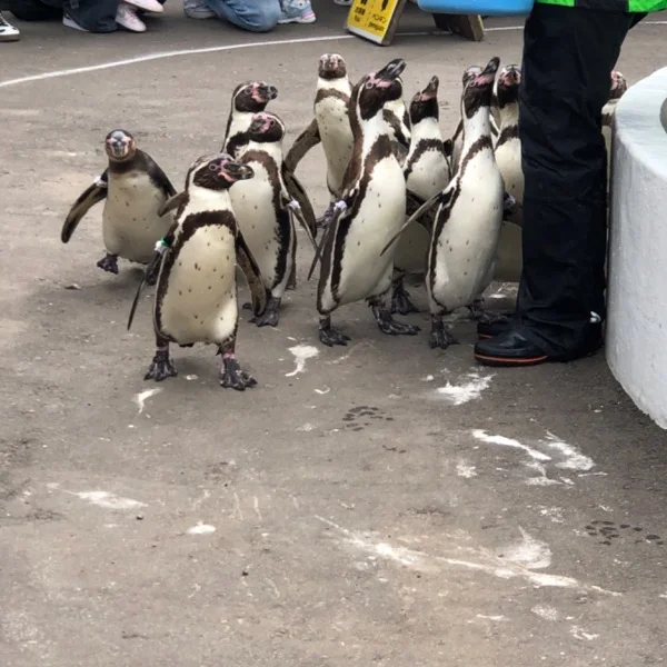 次の出勤