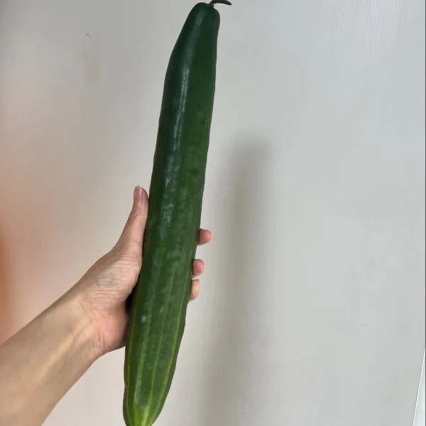 急ですが❣️