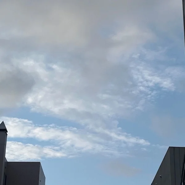 ☀️｡°