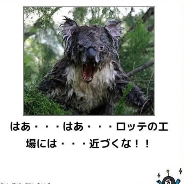 グンナイッ