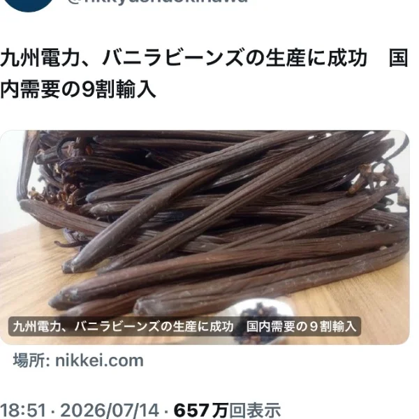 バーニラッバニラバーニラ求人🎶
