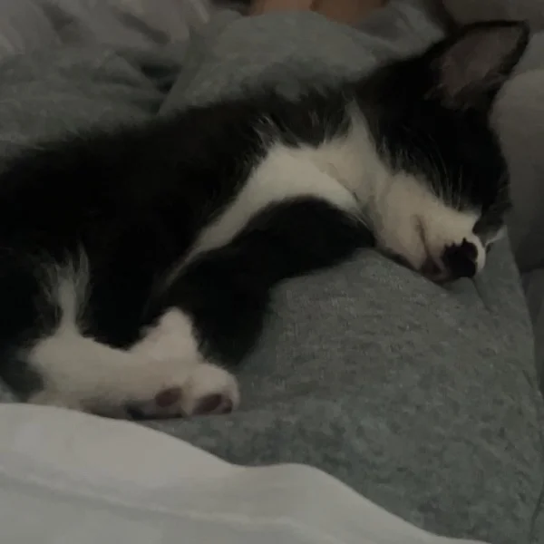 ほのぼの休日😌