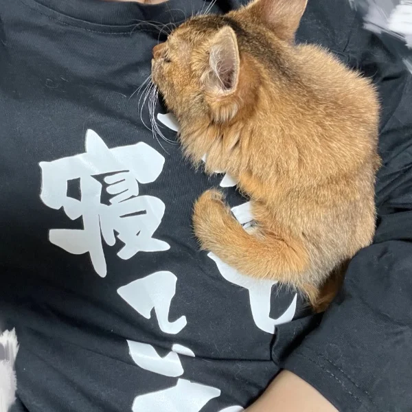 ありがとう🐰💕