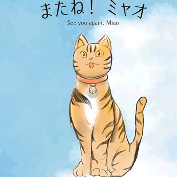 昨夜は