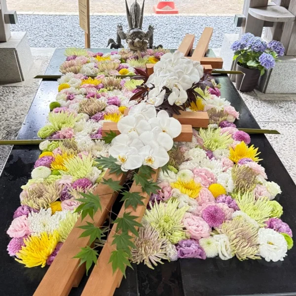 ゆあです🌸