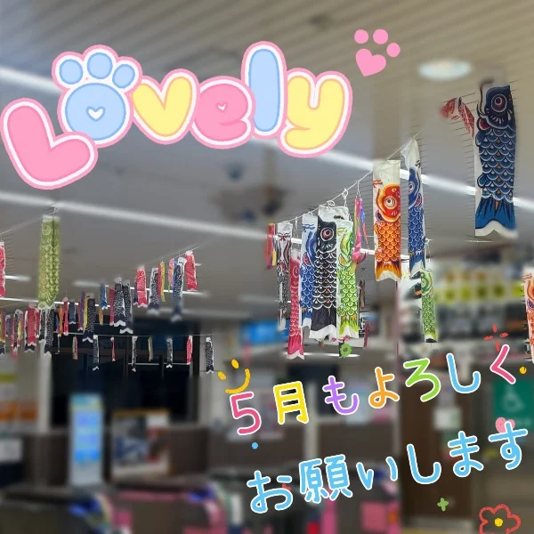 はじめまして♡