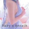 Baby's breath