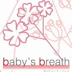 baby's breath ベイビーズブレス