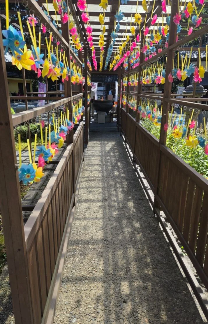 今日は、神社行ってきました♥️