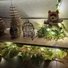 かわいいインテリア♪のサムネイル