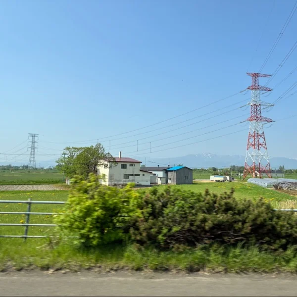 今日ゎありがとう😖