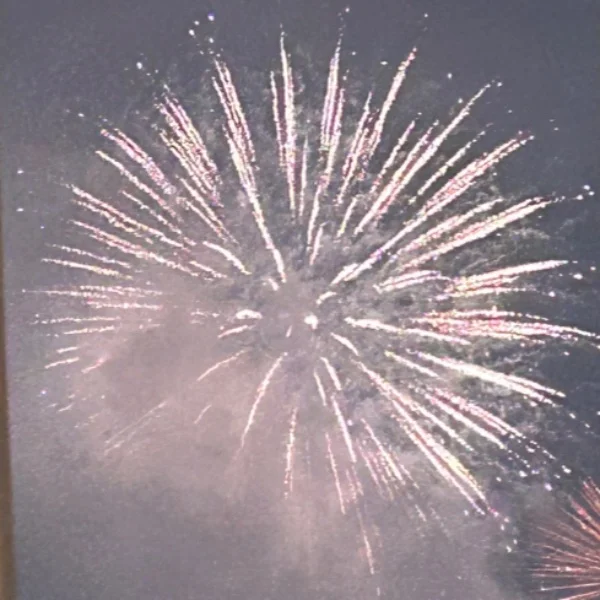 🎆🎇🎆