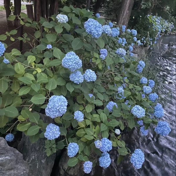 満員御礼🈵✨
