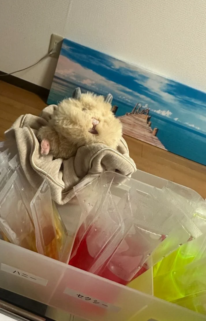 出勤しました