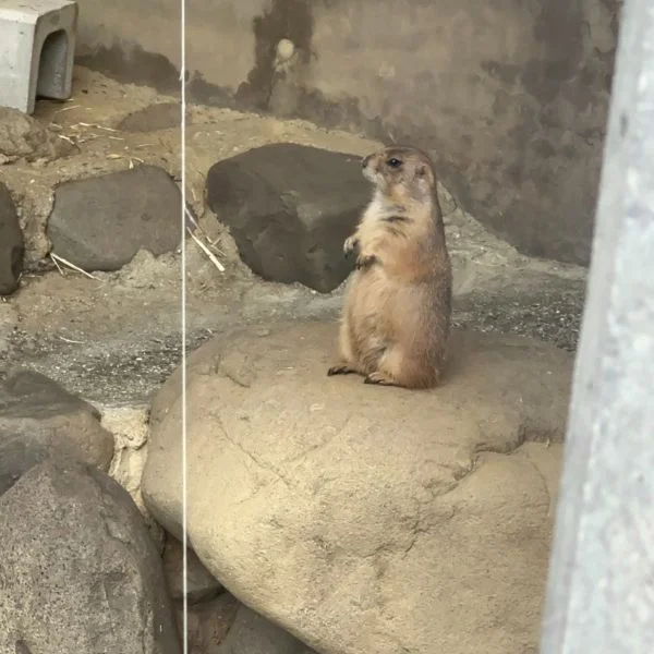 涼しくなった❤️‍