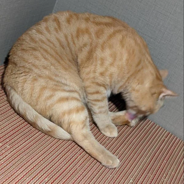 リラックス。