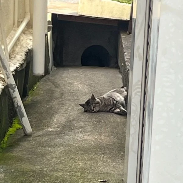 出勤