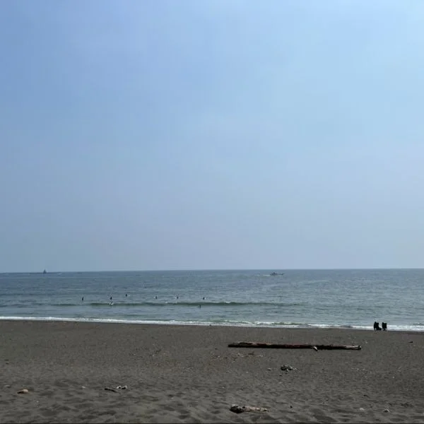 こんばんは