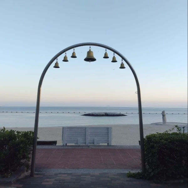 出勤しました♪