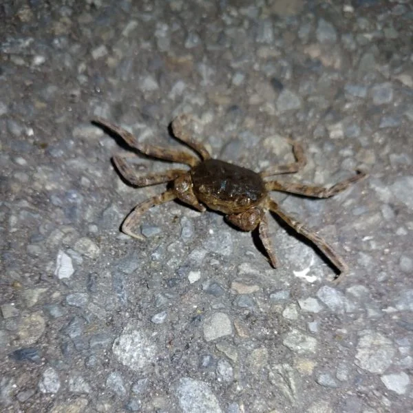 出勤しました♪