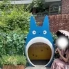ひまり