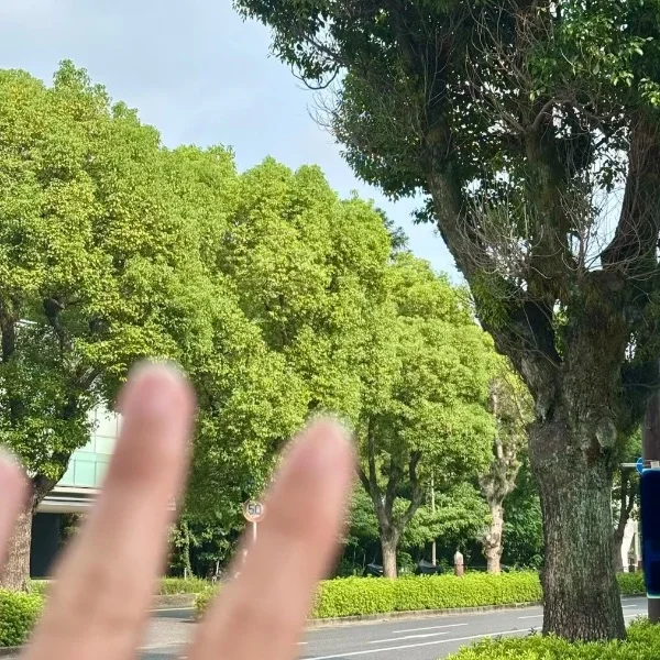 秋っぽくなった？