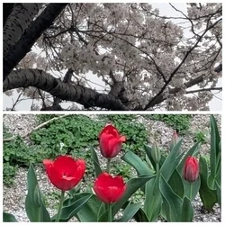  おはようございます！