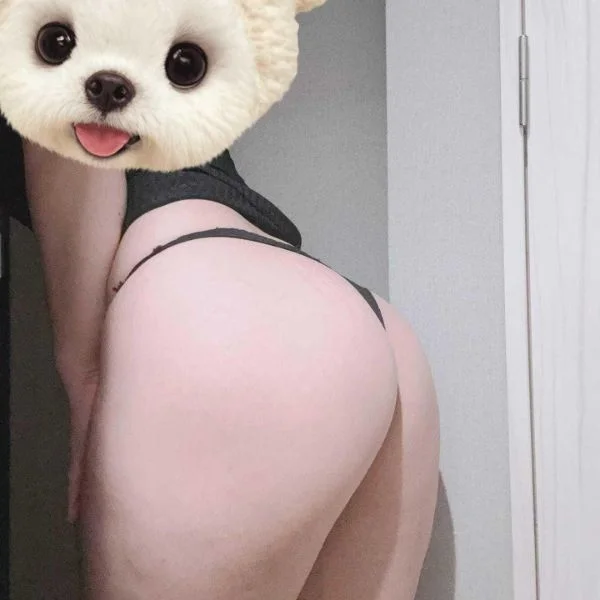お礼です