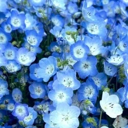  写メ日記でセラピストの良さがもっとお...