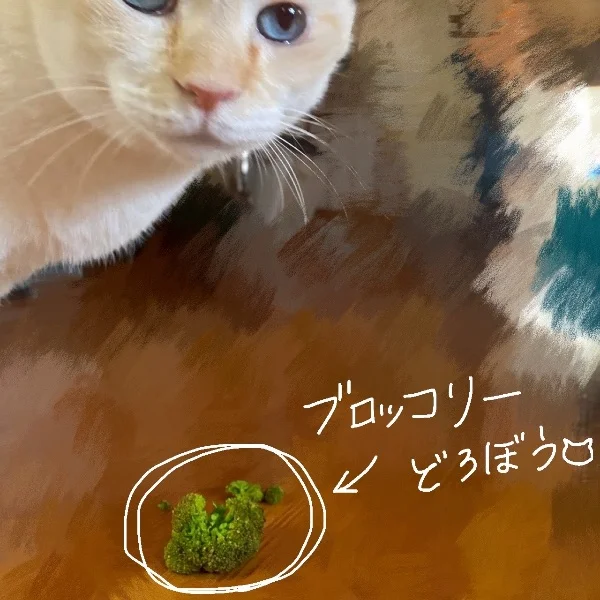 🥦🐱💨