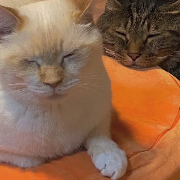 うっとり