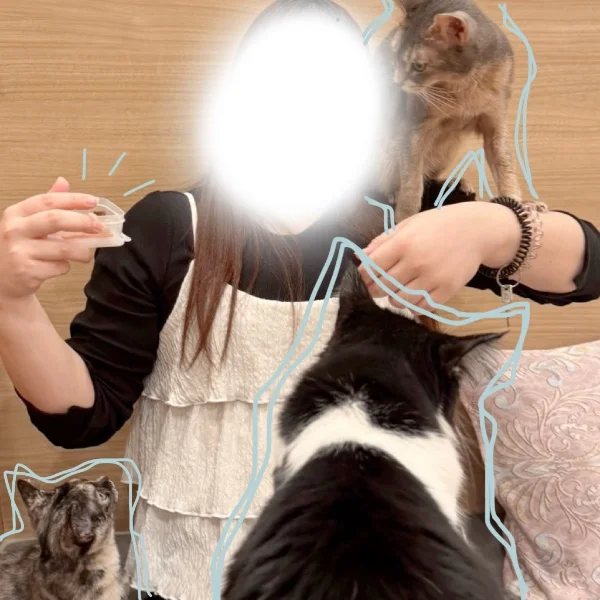 お休みって言ってたけど…