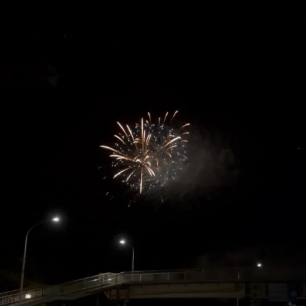 🎆