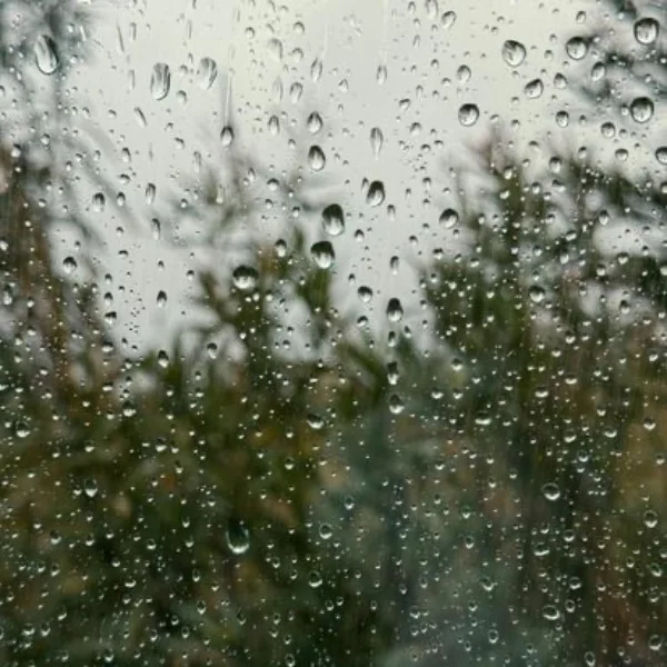 ☔️