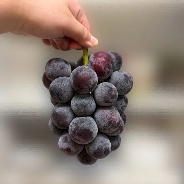 🍇✨