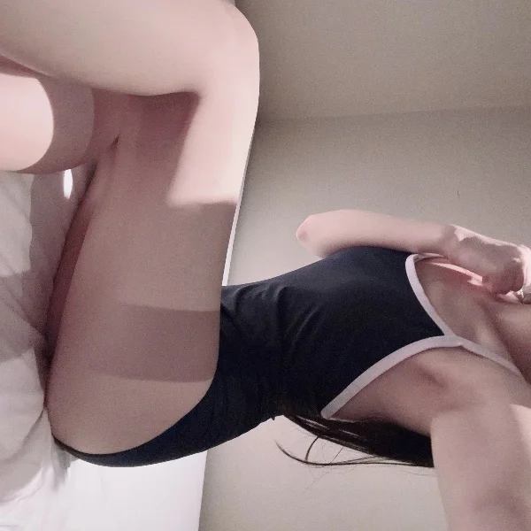 今日も🐬