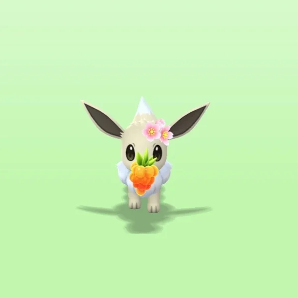 いつもありがとう૮ .  ̫ .｡ ა