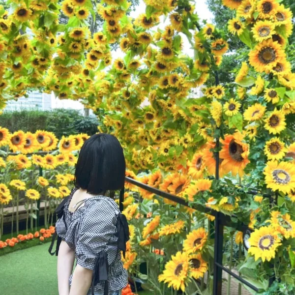 今週は、、、い、いる‼️