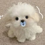 採用担当の山下さん