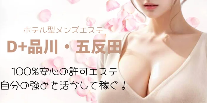 D+(ディープラス)品川/五反田の求人募集イメージ