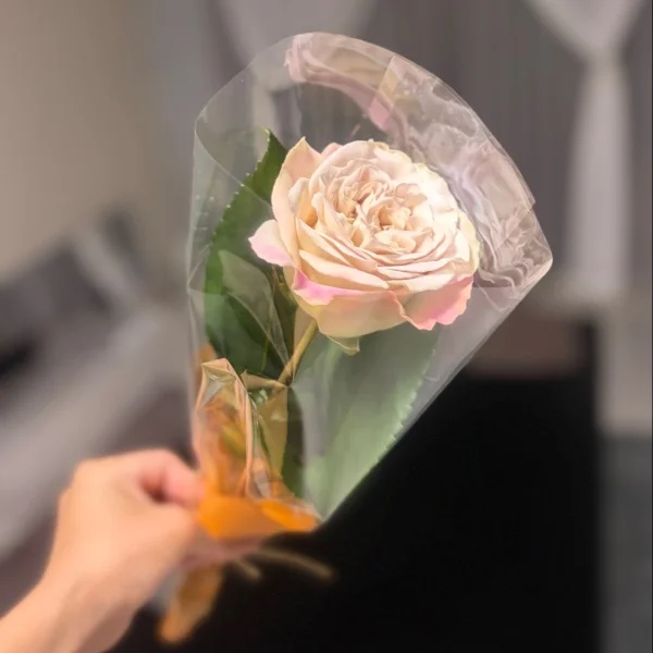 お花って癒される🌹