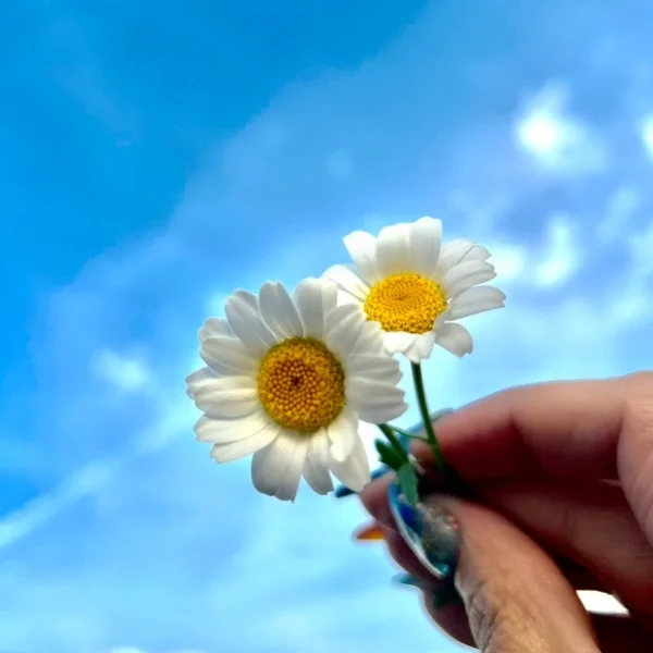 大雨の中ありがとう🥰🫶